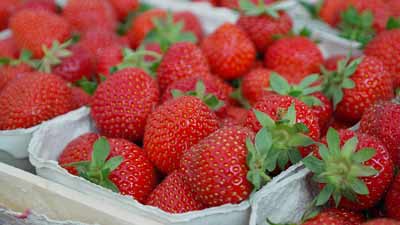 aardbeien rijk aan flavonoiden