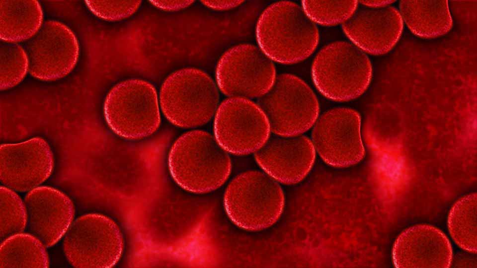 ijzertekort rode bloedcellen